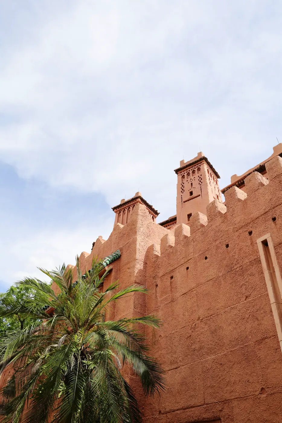 Middle eastern architecture + tree