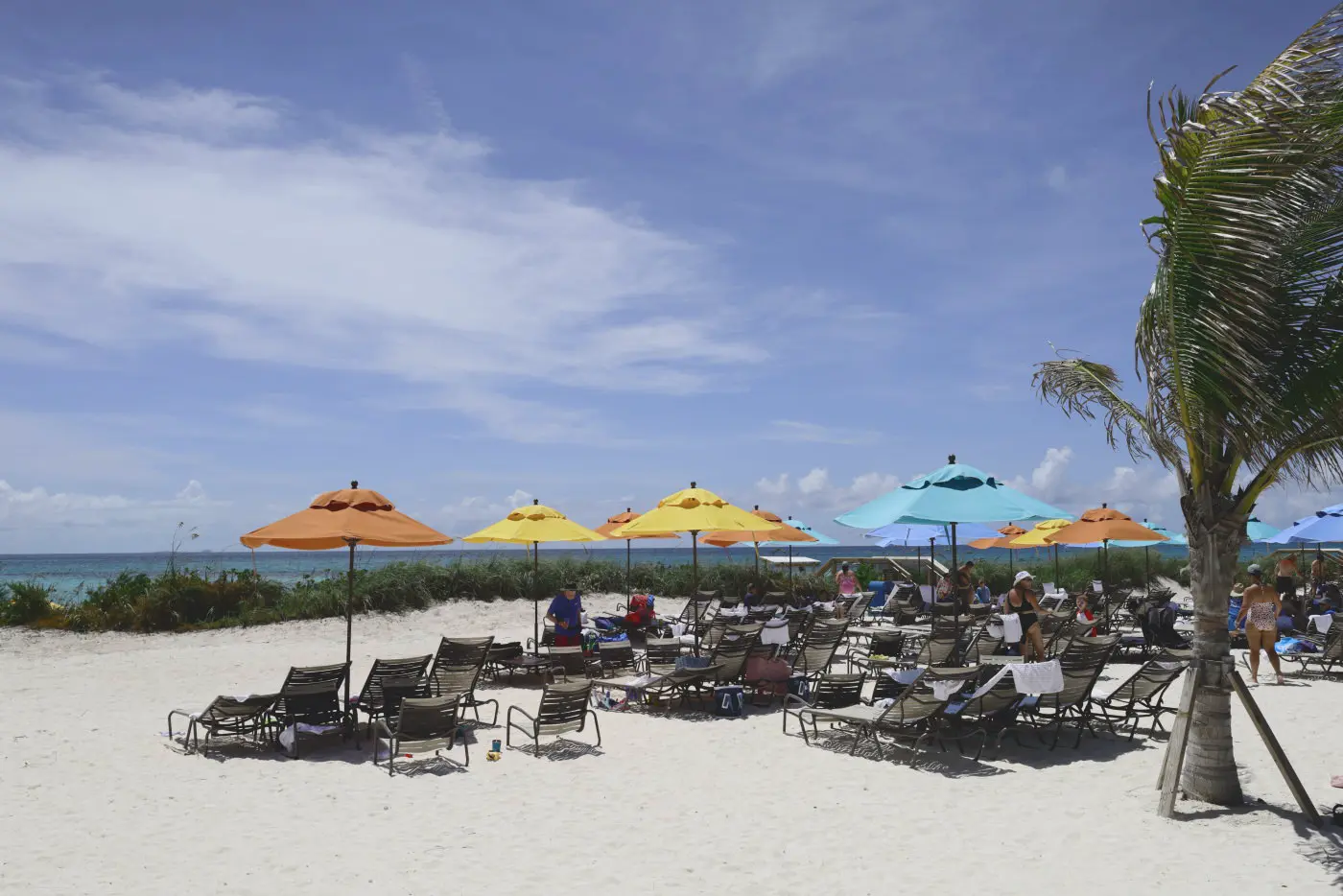 Beach and umbrellas