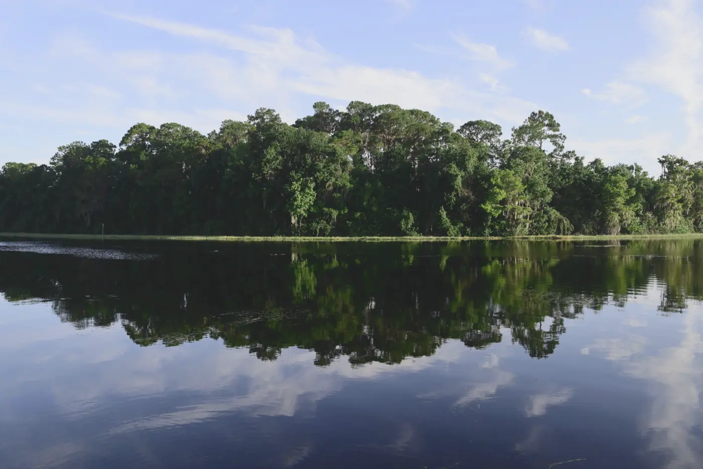 Lake and tree reflection