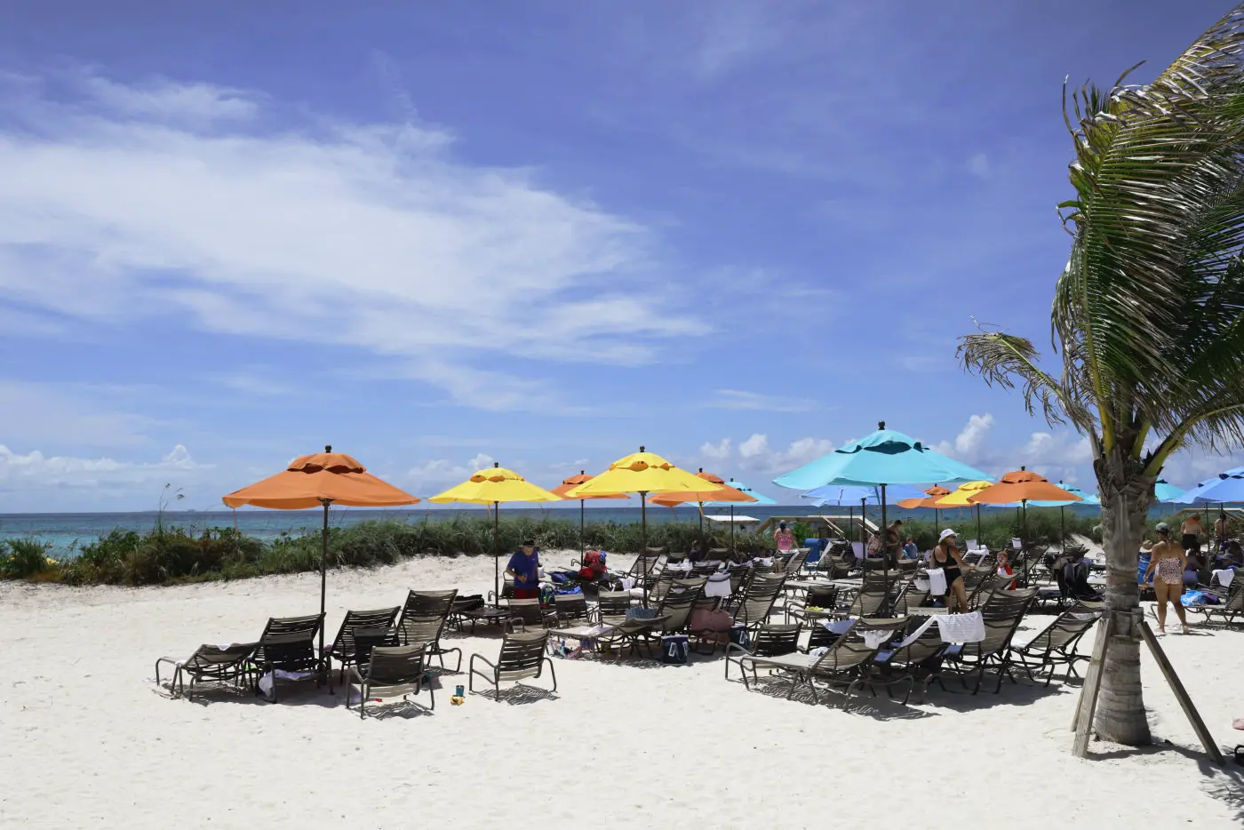Beach and umbrellas