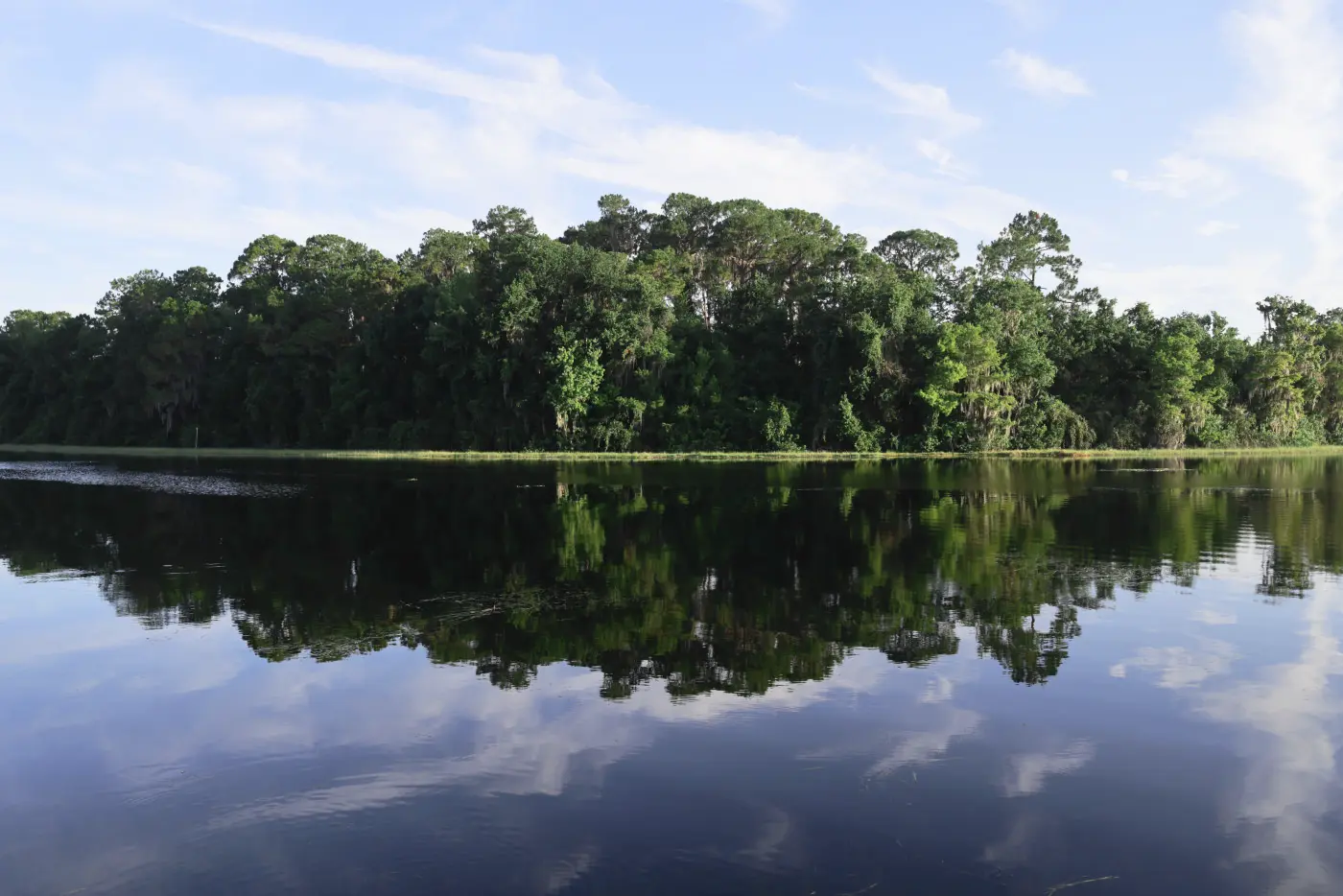 Lake and tree reflection