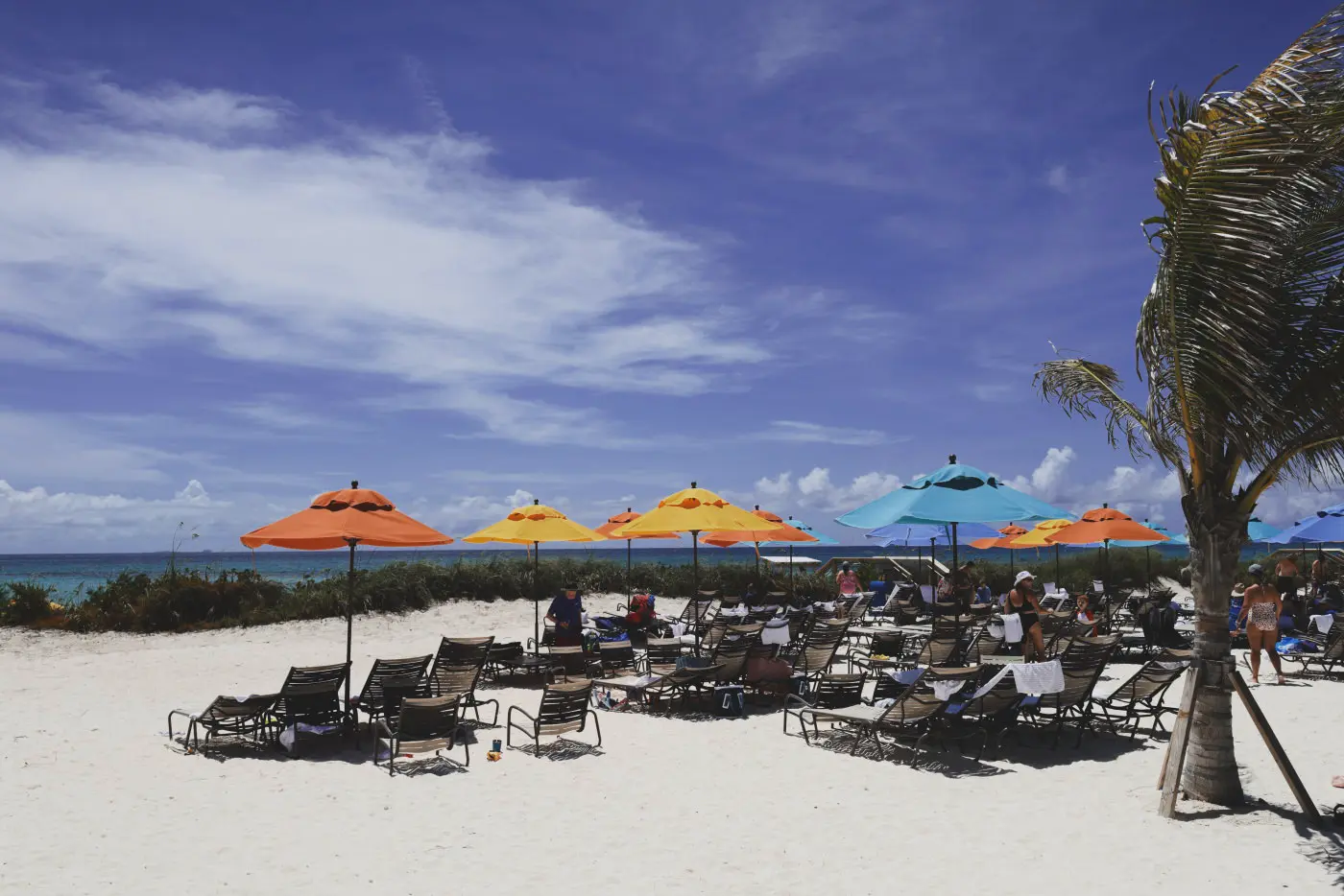 Beach and umbrellas 1