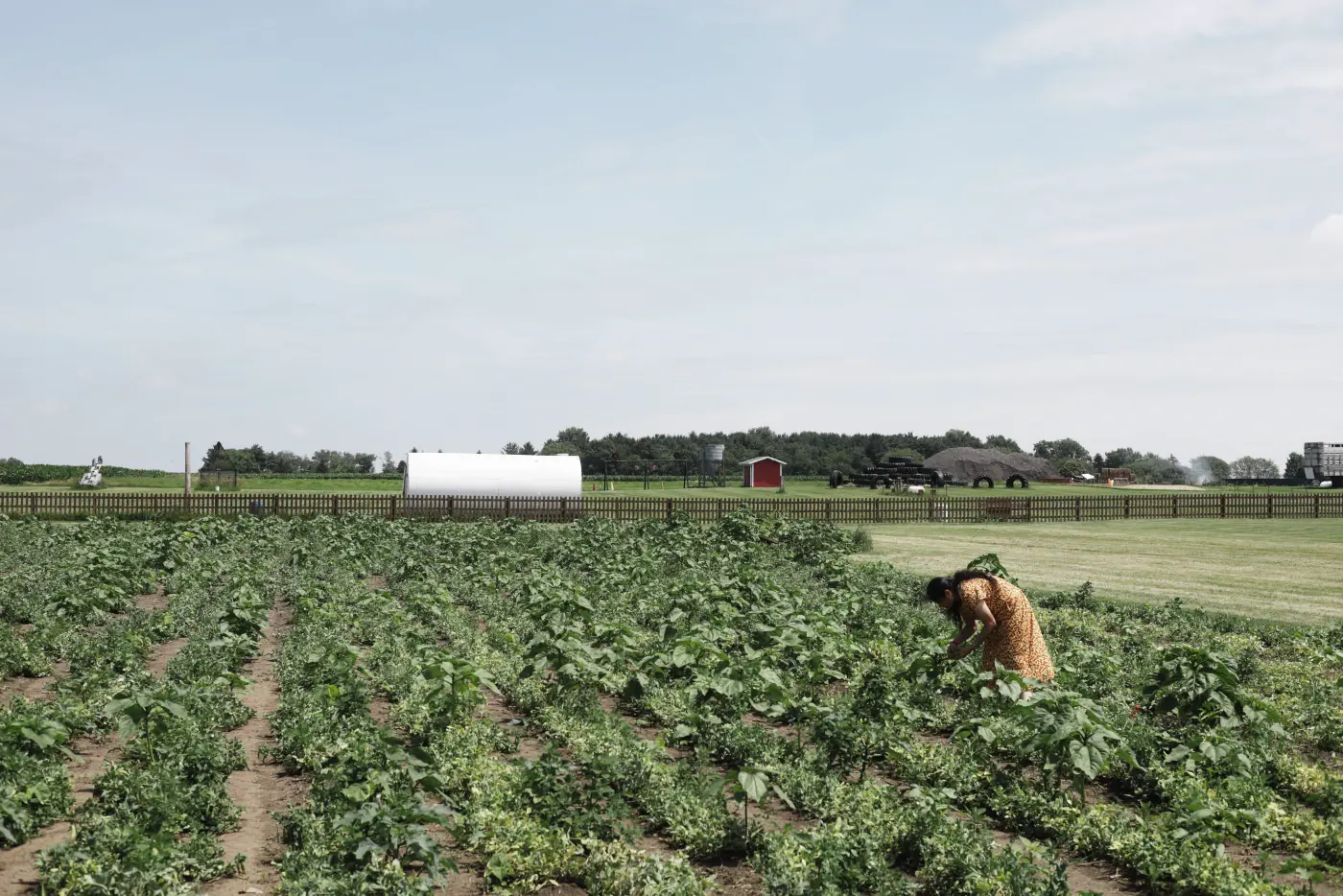 Farm field