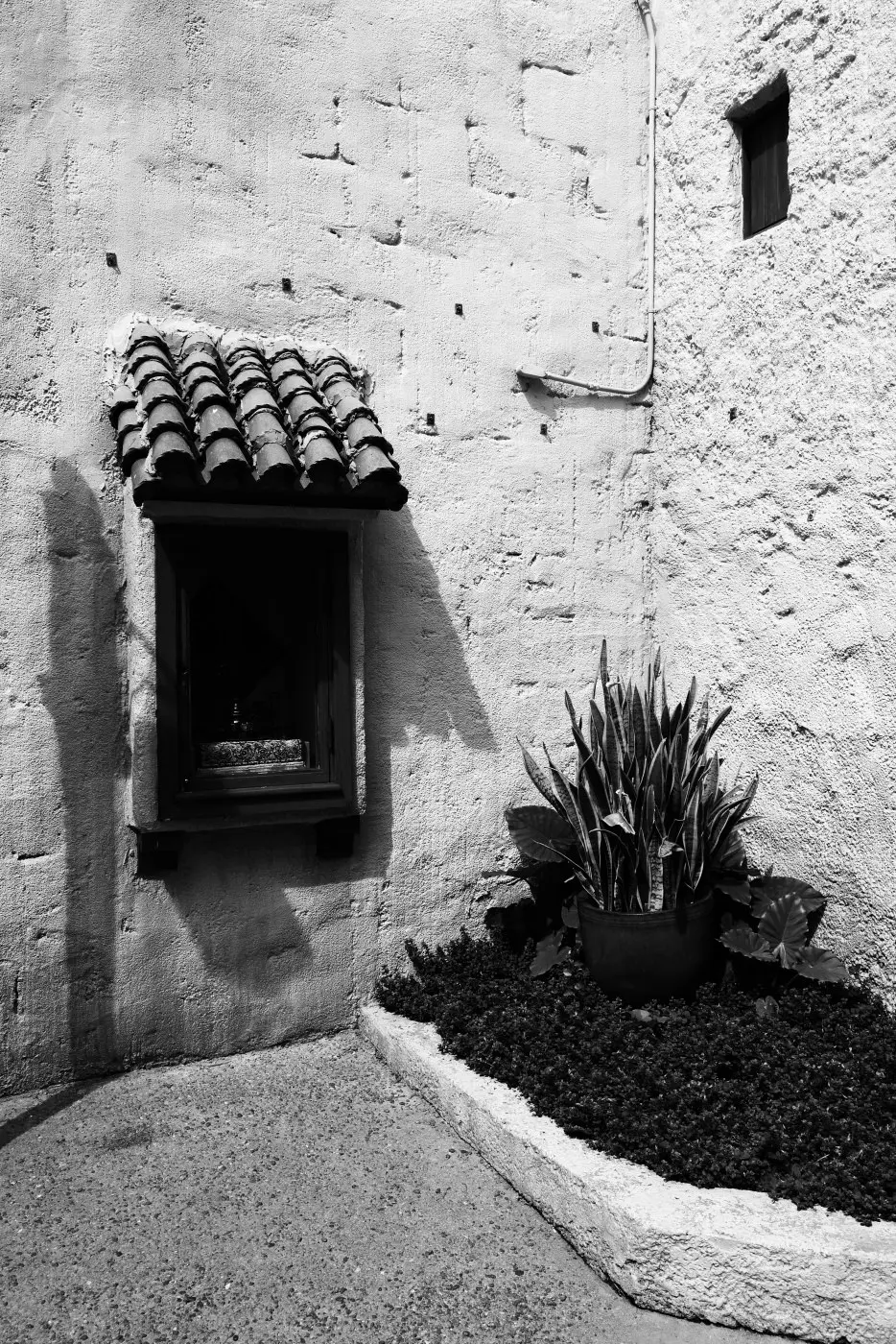 Middle eastern window + plant
