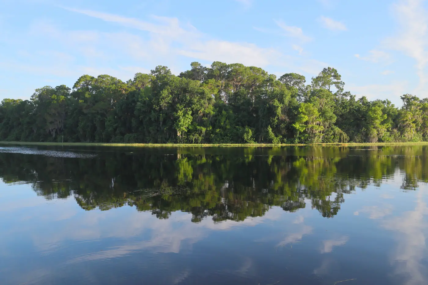 Lake and tree reflection