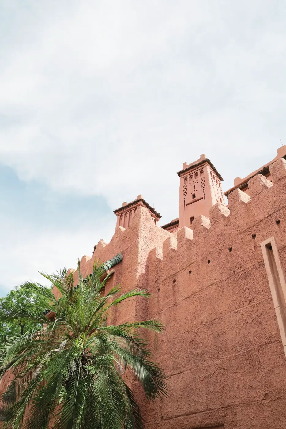 Middle eastern architecture + tree