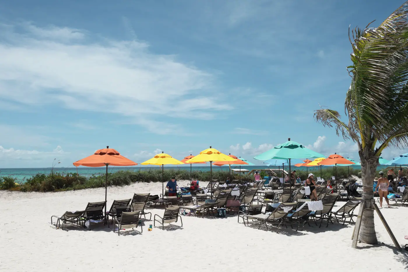 Beach and umbrellas