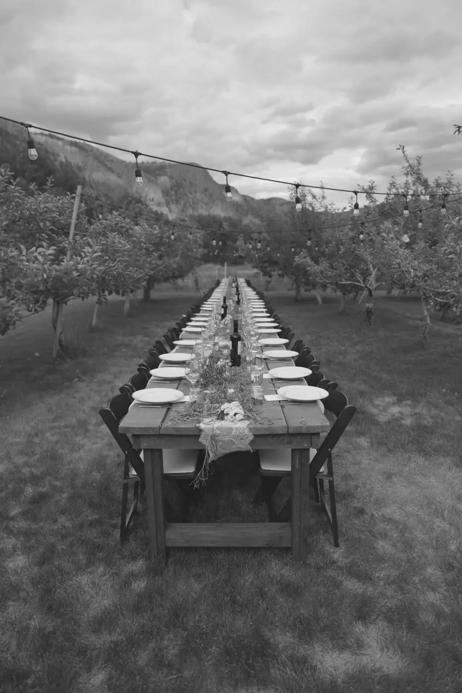 Slate example: long dinner table set in an orchard