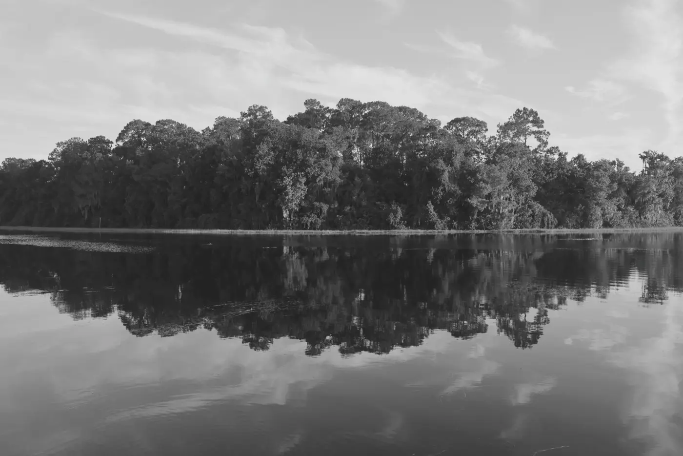 Lake and tree reflection